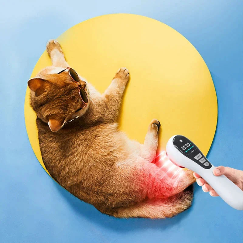 650nm + 808nm Cold Laser Therapy Device - Red Light Pain Relief for Arthritis | JUST FIT IN JUST FIT IN