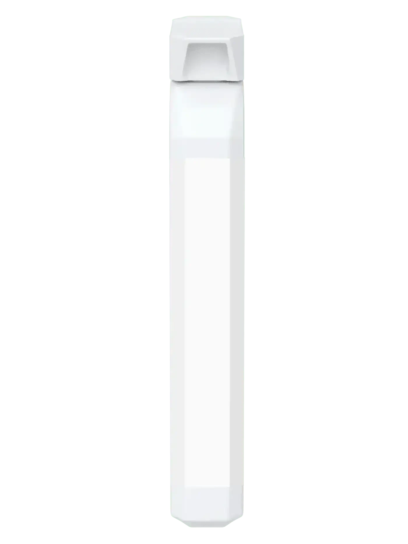 BioBrain - Natural Nootropics Supplement BioBodyBoost